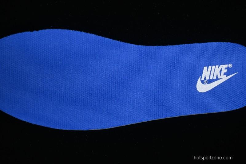 Nike Dunk Low Winter is Here Minimalist White Blue SB Lace-Up Low-Top Casual Skate Shoes - DV0831-104