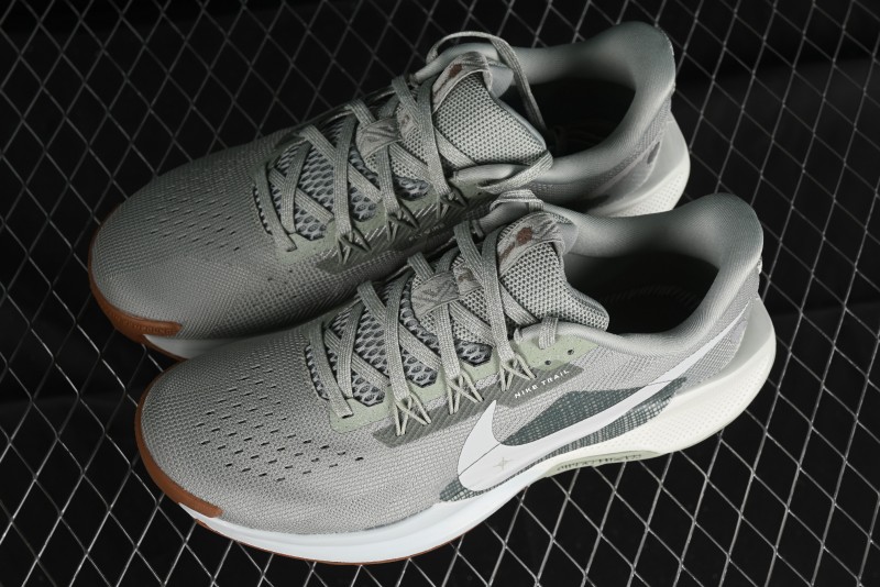 Nike Pegasus Trail 5 Off-Road Series Lightweight Comfortable Durable Low-Top Running Shoes - DV3864-304