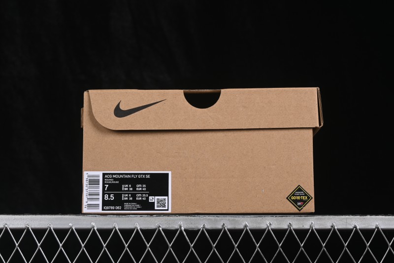 Nike ACG Mountain Fly Low GTX SE Hiking and Outdoor Cross-Training Shoes with GORE-TEX Waterproofing - IQ9789-062