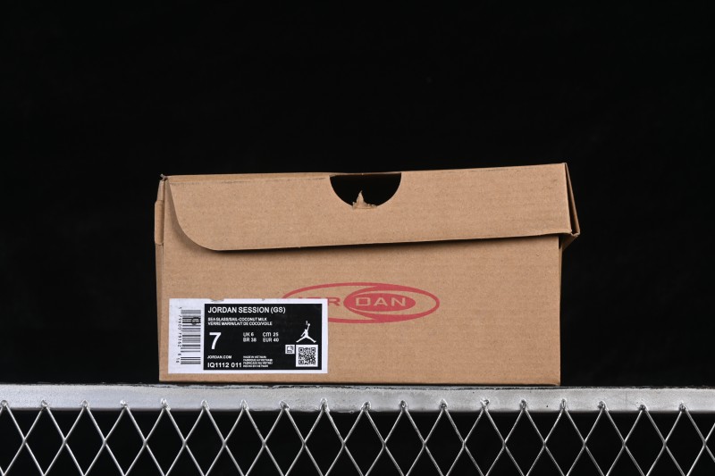 Jordan Air Session AJ Skateboarding Casual Shoes with Padded Collar - IQ1112-011