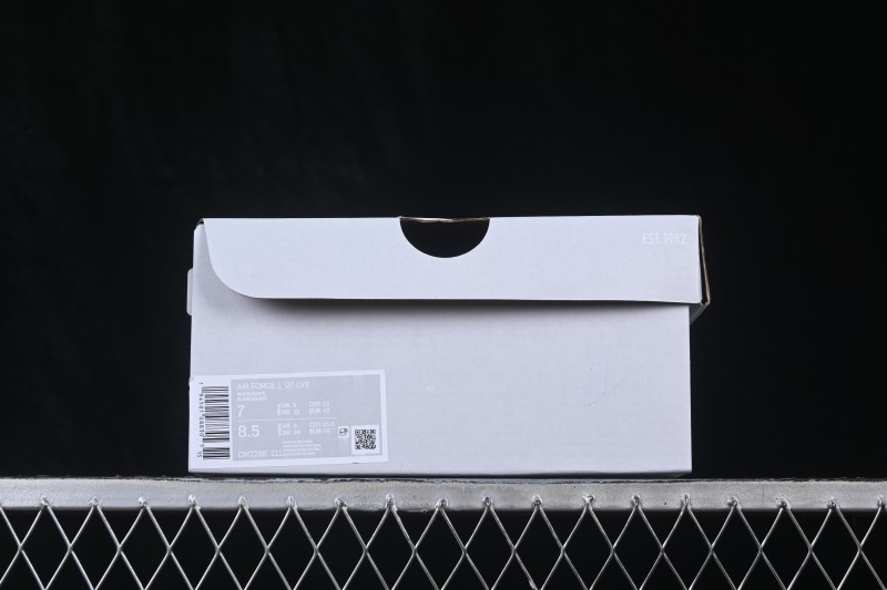 Nike Air Force 1 '07 Low Casual Sneakers - CW2288-111