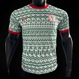 Player Version 2023 Nigeria Special Pre-Match Jersey